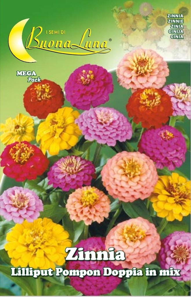 Semillas De Zinnia Lilliput Pompon Doble Mix