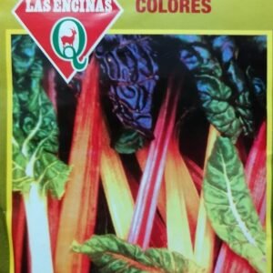 Semillas de Acelga Mezcla De Colores