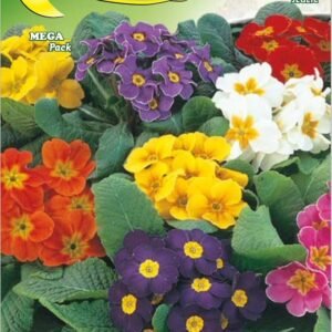Semillas De Primavera