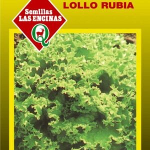 Semillas de Lechuga Lollo Bionda (Rubia)