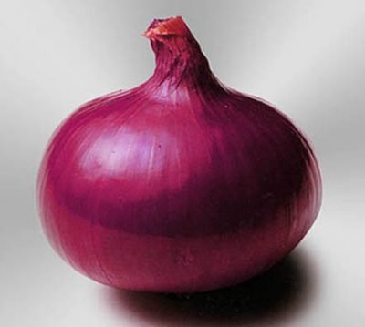 Semillas de Cebolla Morada Red Creole 100 Grs