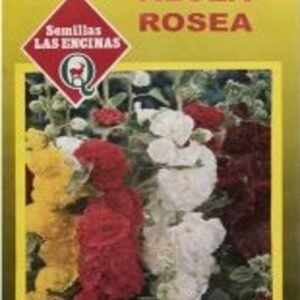 Semillas de Alcea Rosea