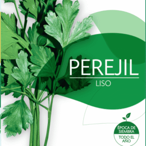 Semillas de Perejil Liso