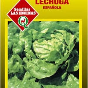 Semillas de Lechuga Española
