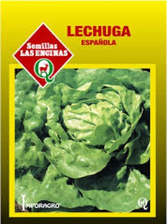 Semillas de Lechuga Española