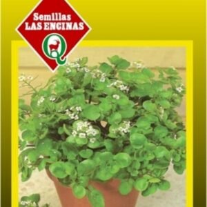 Semillas de Berros