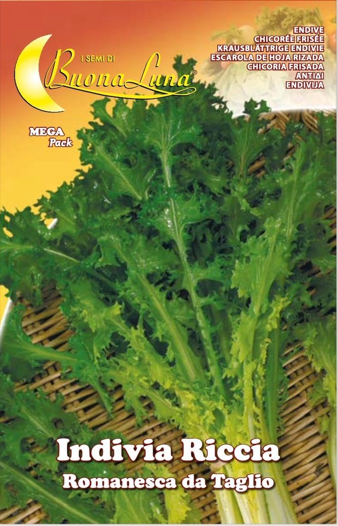 Semillas De Endivia Rizada Romanesca De Corte