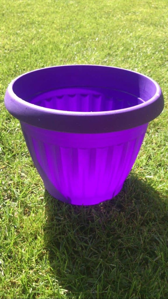 Macetero M6.5 redondo color Morado
