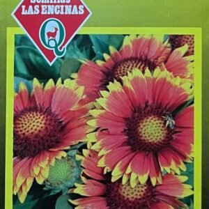 Semillas De Gallardía
