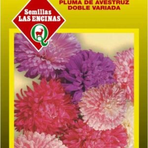 Semillas de Reina Luisa Pluma De Avestruz