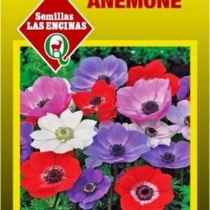 Semillas de Anémona