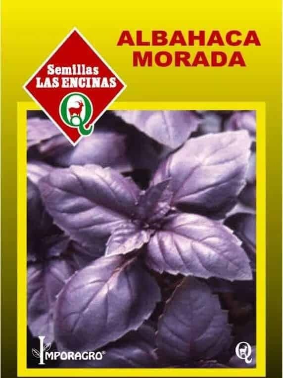 Semillas de Albahaca Morada