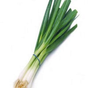Cebollin Kyoto 500 Grs
