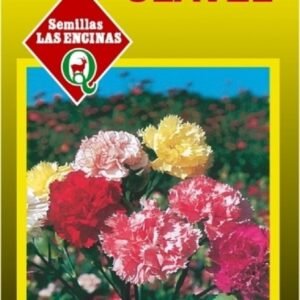 Semillas de Clavel