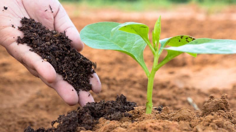 Tierra Compostada 40 Lts - Imagen 6