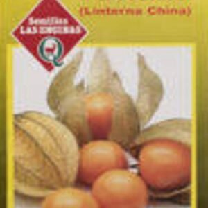 Semillas de Physalis