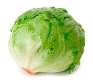 Semillas de Lechuga Escarola Arrepollada Grandes Lagos 118 500 Grs