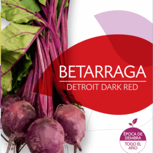 Semillas de Betarraga Detroit