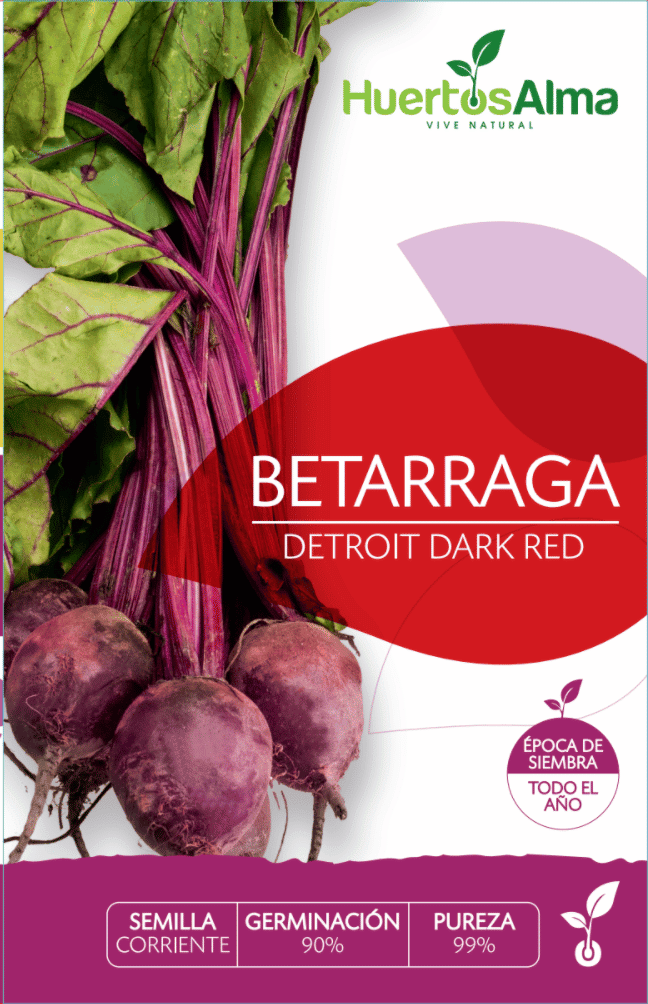 Semillas de Betarraga Detroit