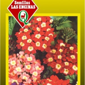 Semillas de Flores Verbena