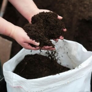 Compost 40 Lts