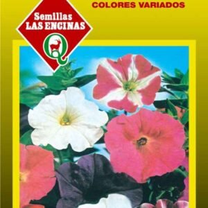 Semillas de Petunia