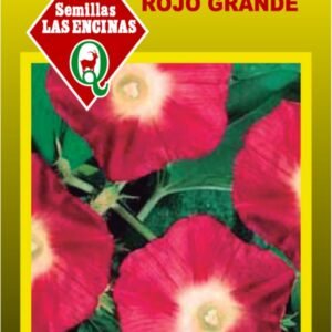 Semillas de Suspiro Rojo