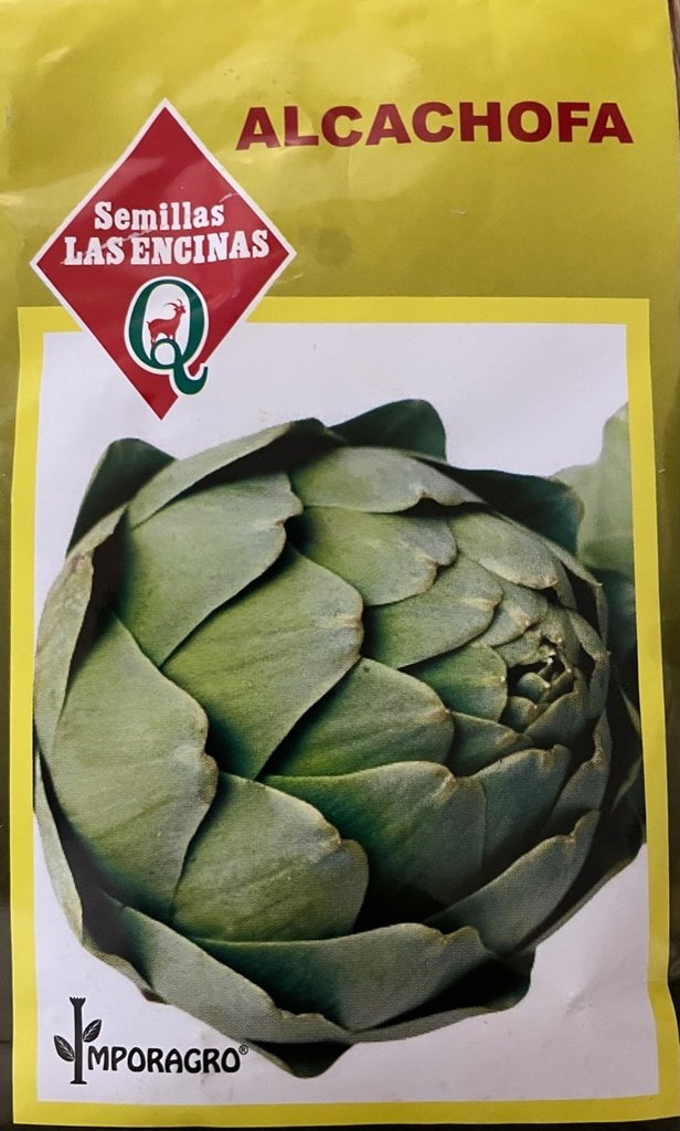 Semillas de Alcachofa