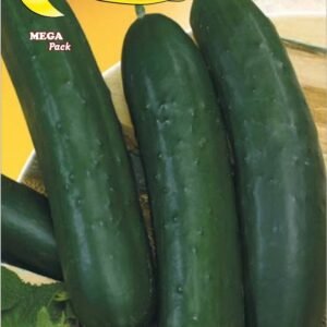 Semillas De Pepino Geminis 7