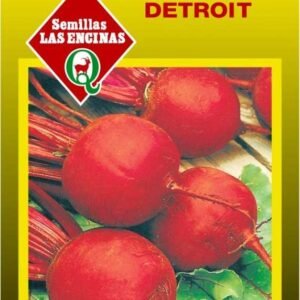 Semillas de Betarraga Detroit dark Red