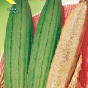 Semillas De Luffa