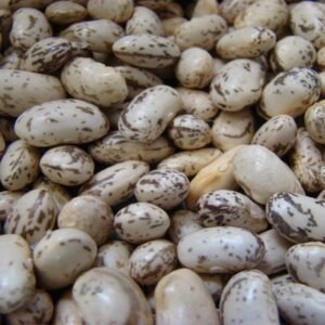 Poroto Granado Vaina Colorada 1 Kilo