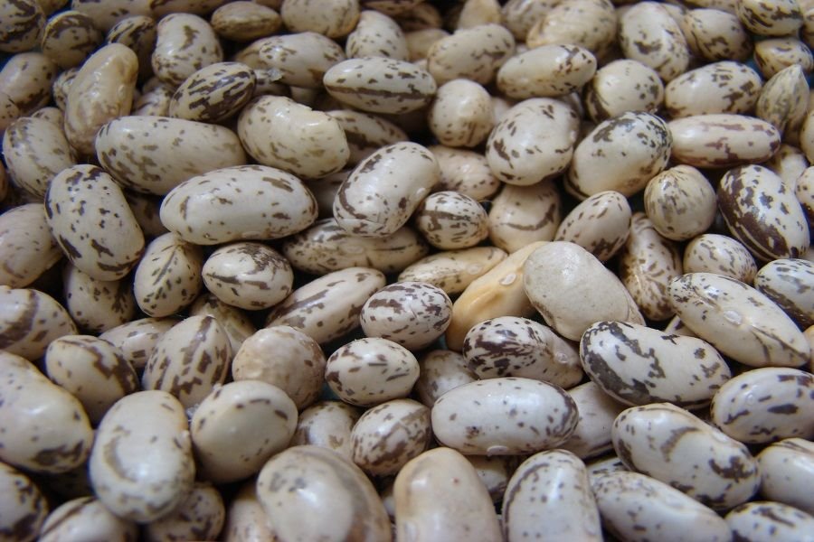 Poroto Granado Vaina Colorada 1 Kilo