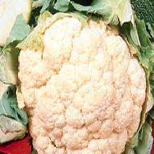Coliflor Snowball Y Mejorada 100 Grs