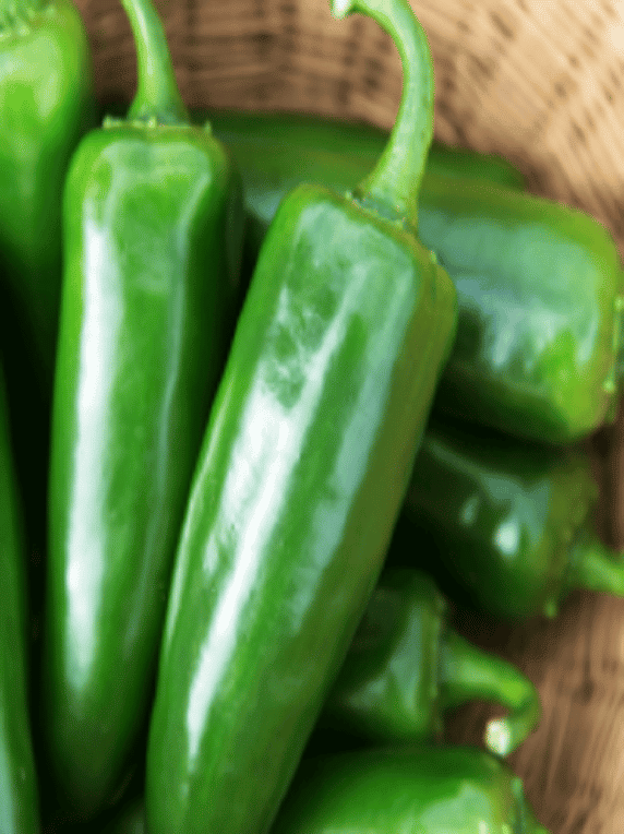 Semillas de Ají Jalapeño 100 Grs