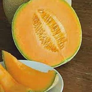 Semillas de Melón Cataloupe Hales Best Jumbo (Carne Rosada) 500 Grs