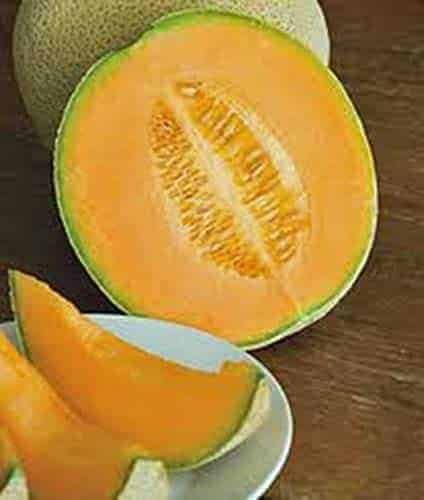 Semillas de Melón Cataloupe Hales Best Jumbo (Carne Rosada) 500 Grs