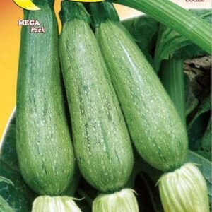 Semillas De Zapallo Greyzini F1