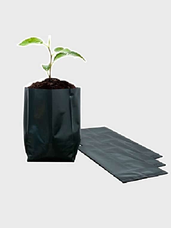 Bolsa Plástica para Almácigo y Plantas de 12x12 - 100 unidades