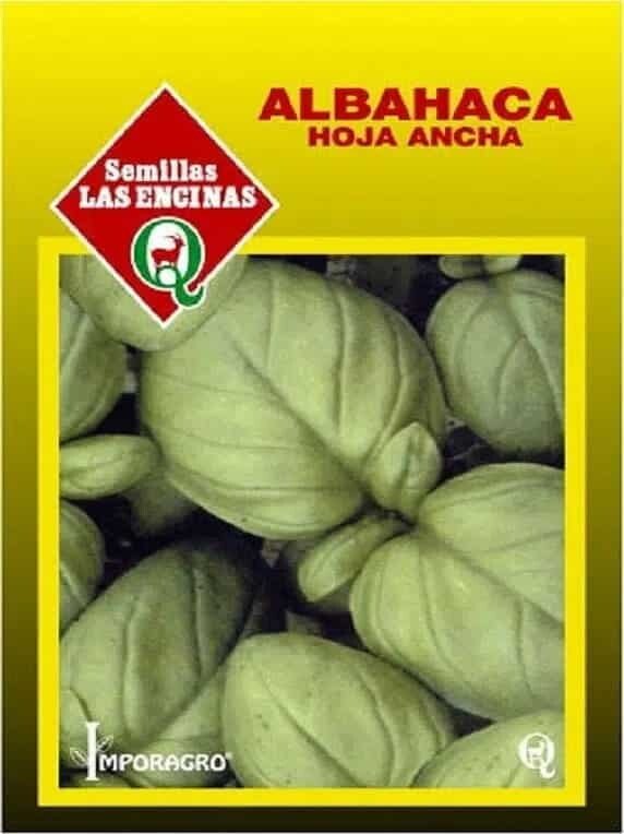 Semillas de Albahaca