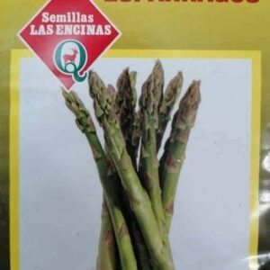 Semillas de Espárragos