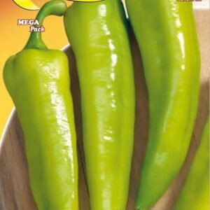 Semillas De Peperone P13