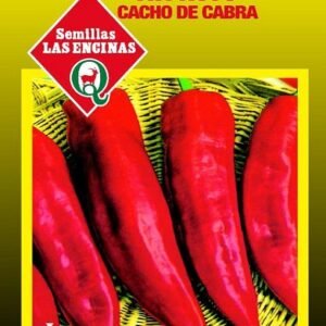 Semillas de Ají Cacho de Cabra
