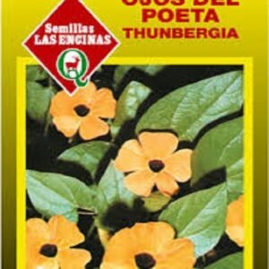 Semillas de Thumbergia Alta (Ojos del Poeta)