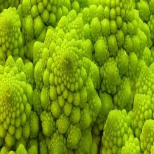 Semillas de Broccoli Romanesco 100 Grs