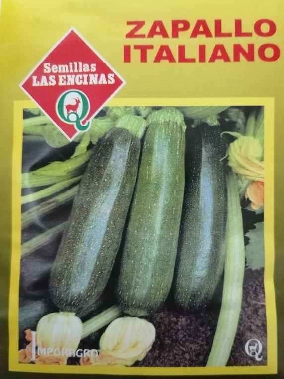 Semillas de Zapallo Italiano