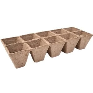 Bandeja Almaciguera Biodegradable 10 Cavidades