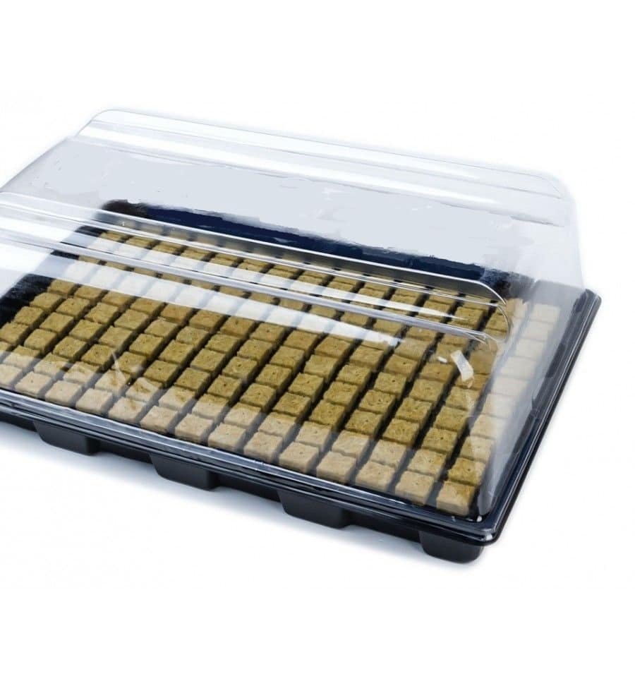 Tapa para Almaciguera Plástica Transparente - Imagen 5