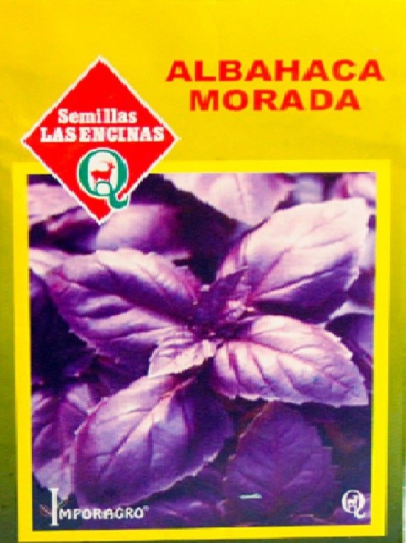 Semillas de Albahaca Morada - Imagen 3