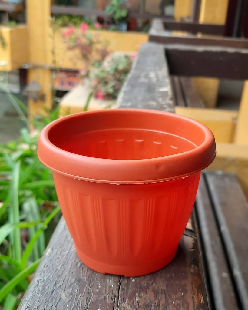 Macetero M6.5 redondo color Terracota